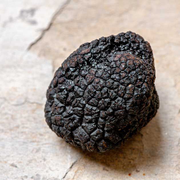 Poudre de truffe noire de Bourgogne ou truffe de champagne - direct  producteur