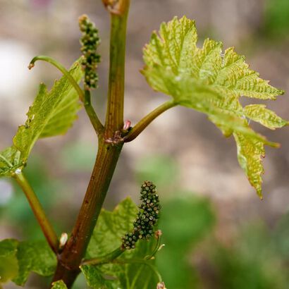 Rencontre avec Athénaïs de Béru, Château de Béru