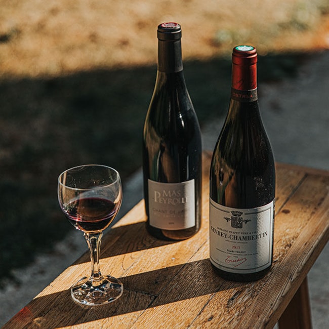 Tout savoir sur le vin biologique 