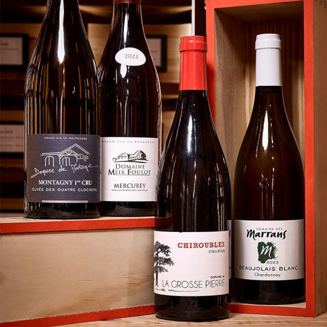 Tout savoir sur les vins de Bourgogne