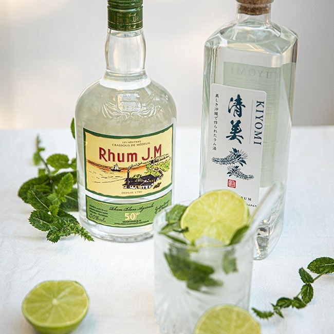 Tout savoir sur le Mojito