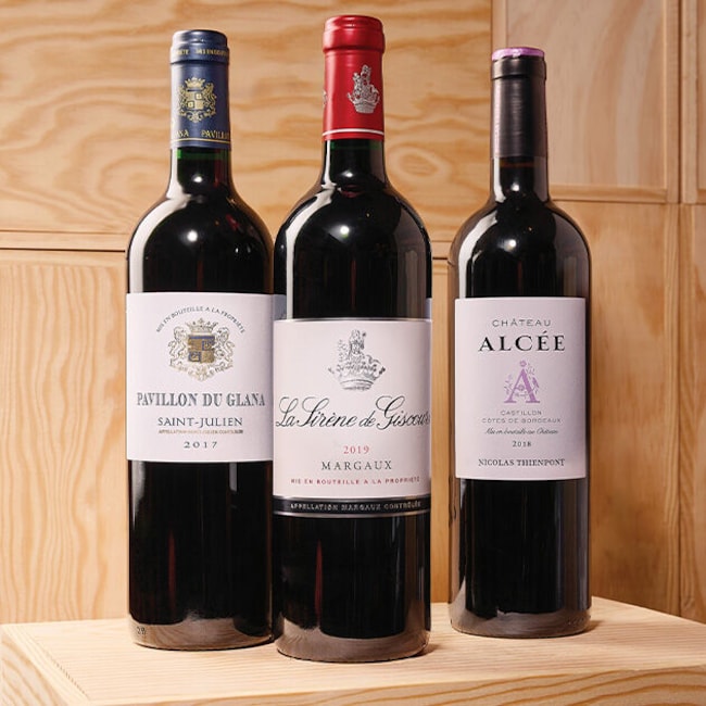 Tout savoir sur les vins de Bordeaux