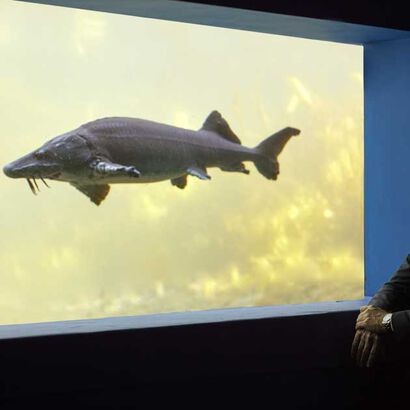 Hugues Forget  La Grande Épicerie de Paris