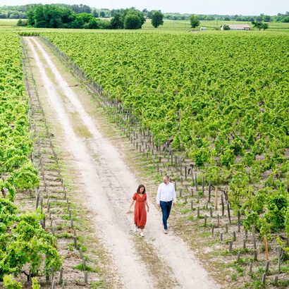 la grande épicerie de Paris - Vignes