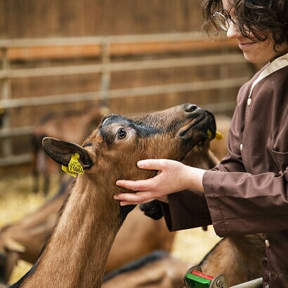 la ferme de la Cruzille