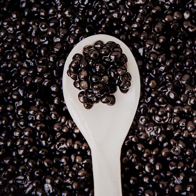 Cuillère en nacre pour caviar - Caviar Perle Noire