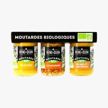 Moutardes biologiques Reine de Dijon