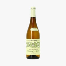 Jeff Carrel, Dans l’air du temps, Sauvignon blanc, Vin de France, 2021 Jeff Carrel