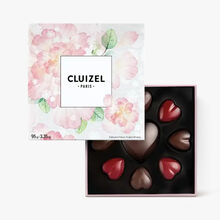 Assortiment de bonbons de chocolat Cluizel