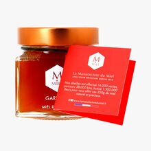 Garrigue - Miel de France La Manufacture du Miel