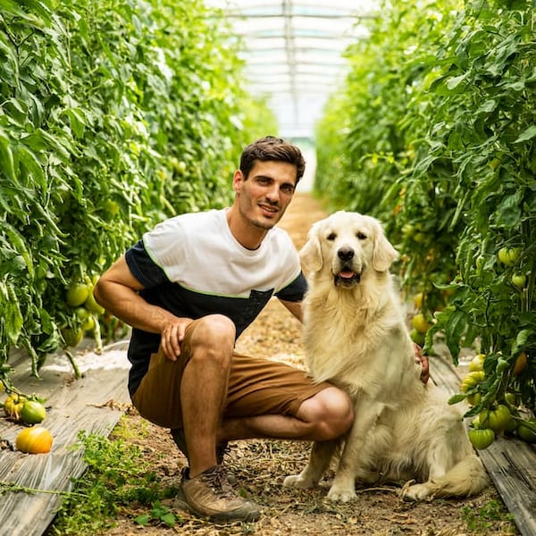 Rencontre avec Ricaud-Provence, notre producteur de tomates
