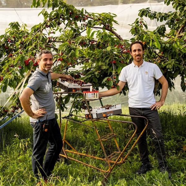 Rencontre avec le Domaine du Grand Hôpital, producteur de cerises et d’abricots