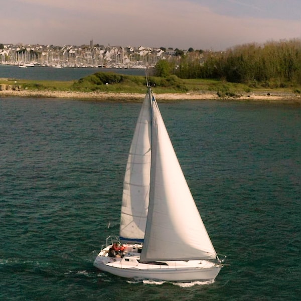 Rencontre avec JEGO Frères, notre mareyeur partenaire.