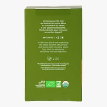 Th&eacute; Detox indienne biologique Palais des Th&eacute;s