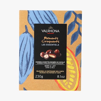 Coffret amandes et noisettes enrobées de chocolat noir et lait Valrhona