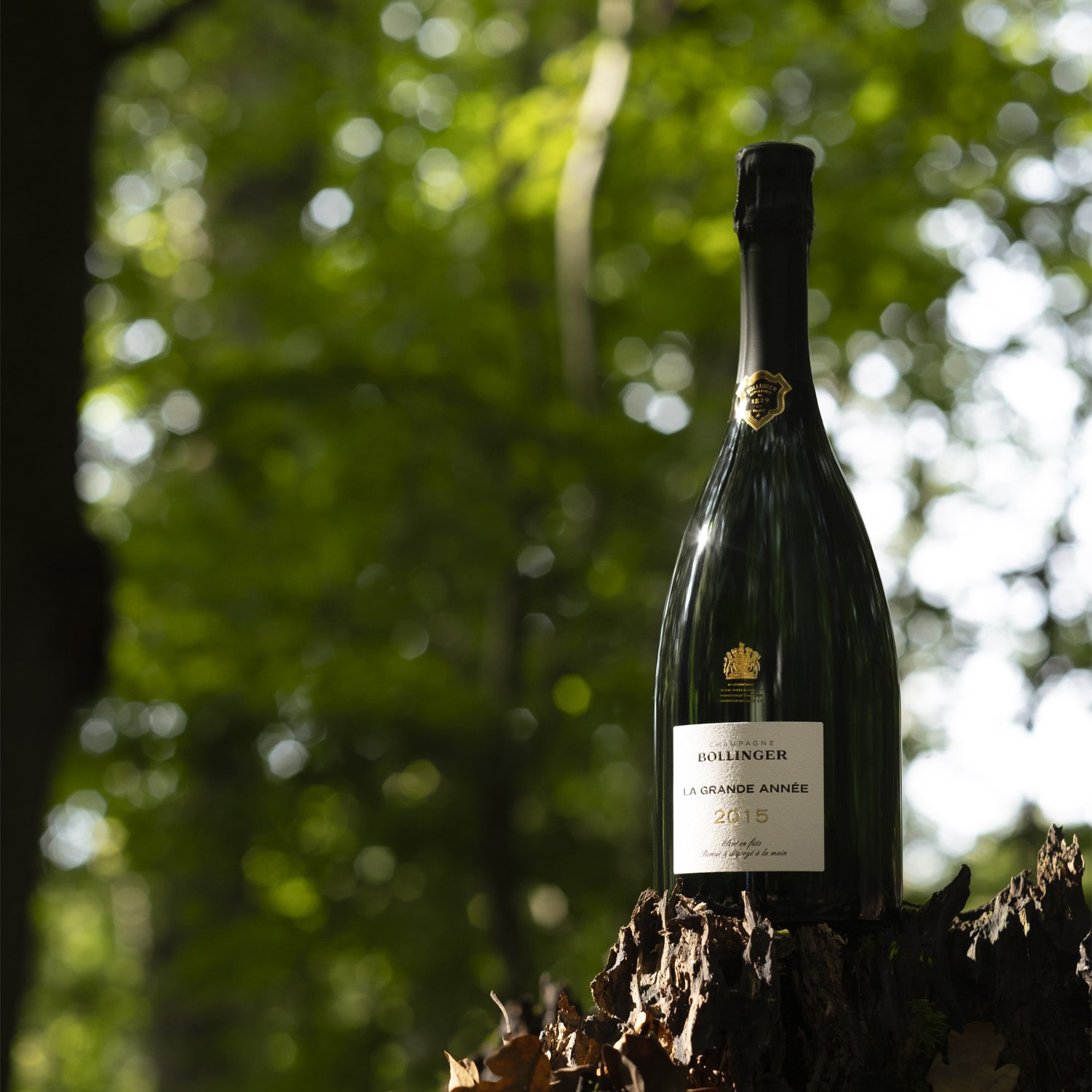 Champagne Bollinger, La grande année, 2015, sous coffret Champagne Bollinger