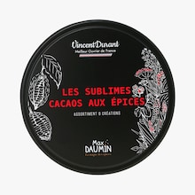 Les sublimes cacaos aux épices - 6 créations Epices Max Daumin