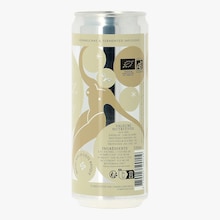 Kombucha fleur de sureau biologique Turbulente