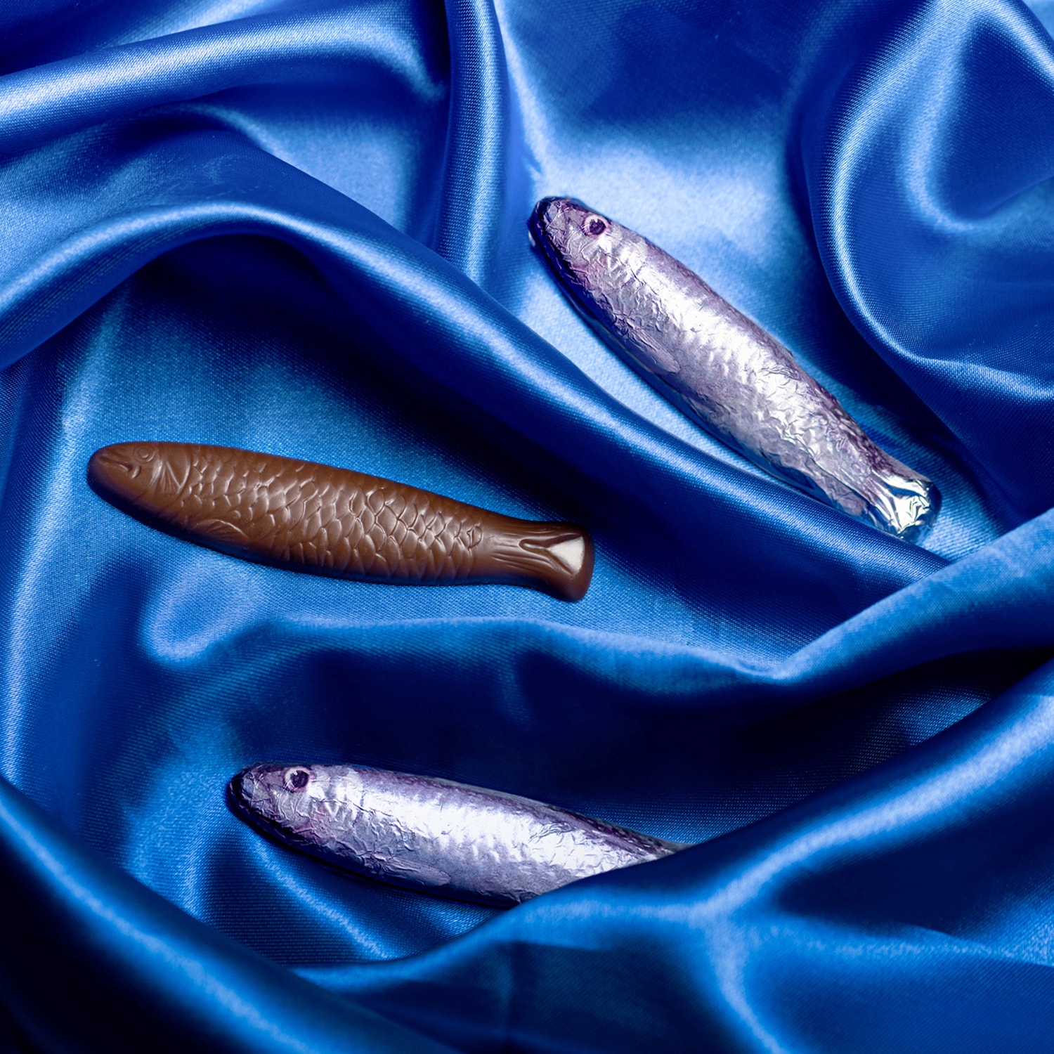 Sardines en chocolat au lait Cluizel