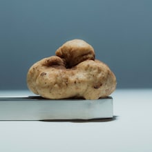 Truffe au chocolat blanc et noisettes - Alba White Tartufo Regale