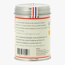 Curcuma en paillettes Terre Exotique