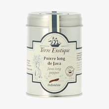Poivre long de Java - Indonésie Terre Exotique