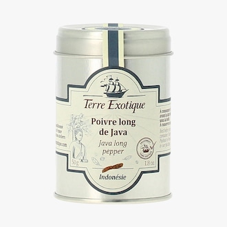 Poivre long de Java - Indonésie Terre Exotique