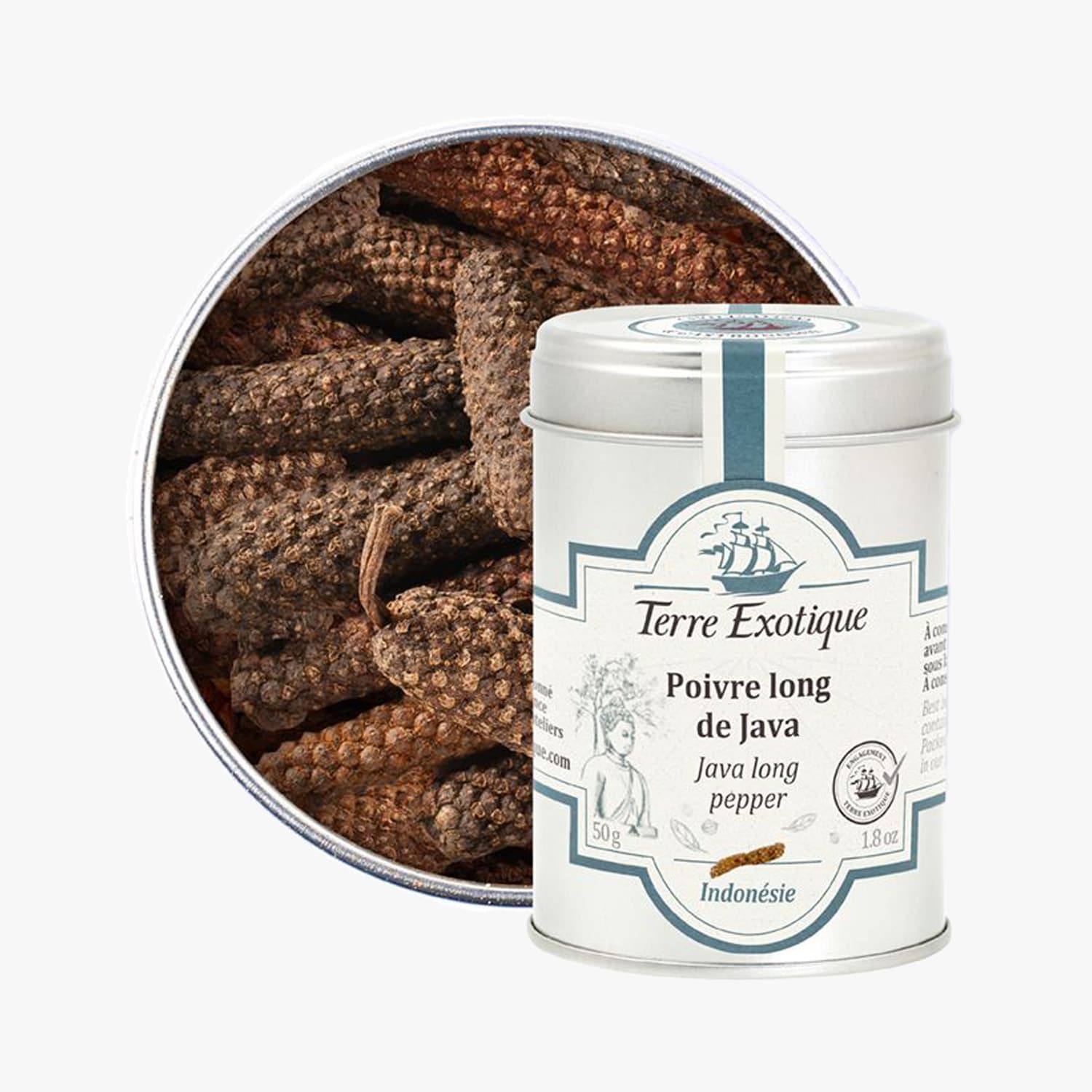 Poivre long de Java - Indonésie Terre Exotique