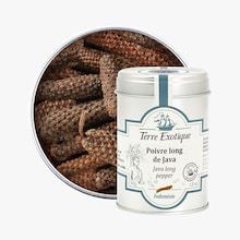 Poivre long de Java - Indonésie Terre Exotique