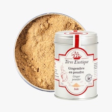 Gingembre Terre Exotique