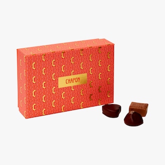 Coffret 24 chocolats Chapon