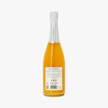 Cocktail Bellini Canella, Mimosa granriviera Canella