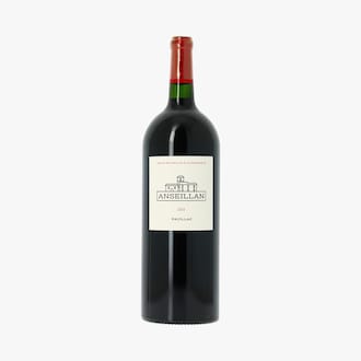Magnum de Anseillan, AOC Pauillac, 2015 Anseillan