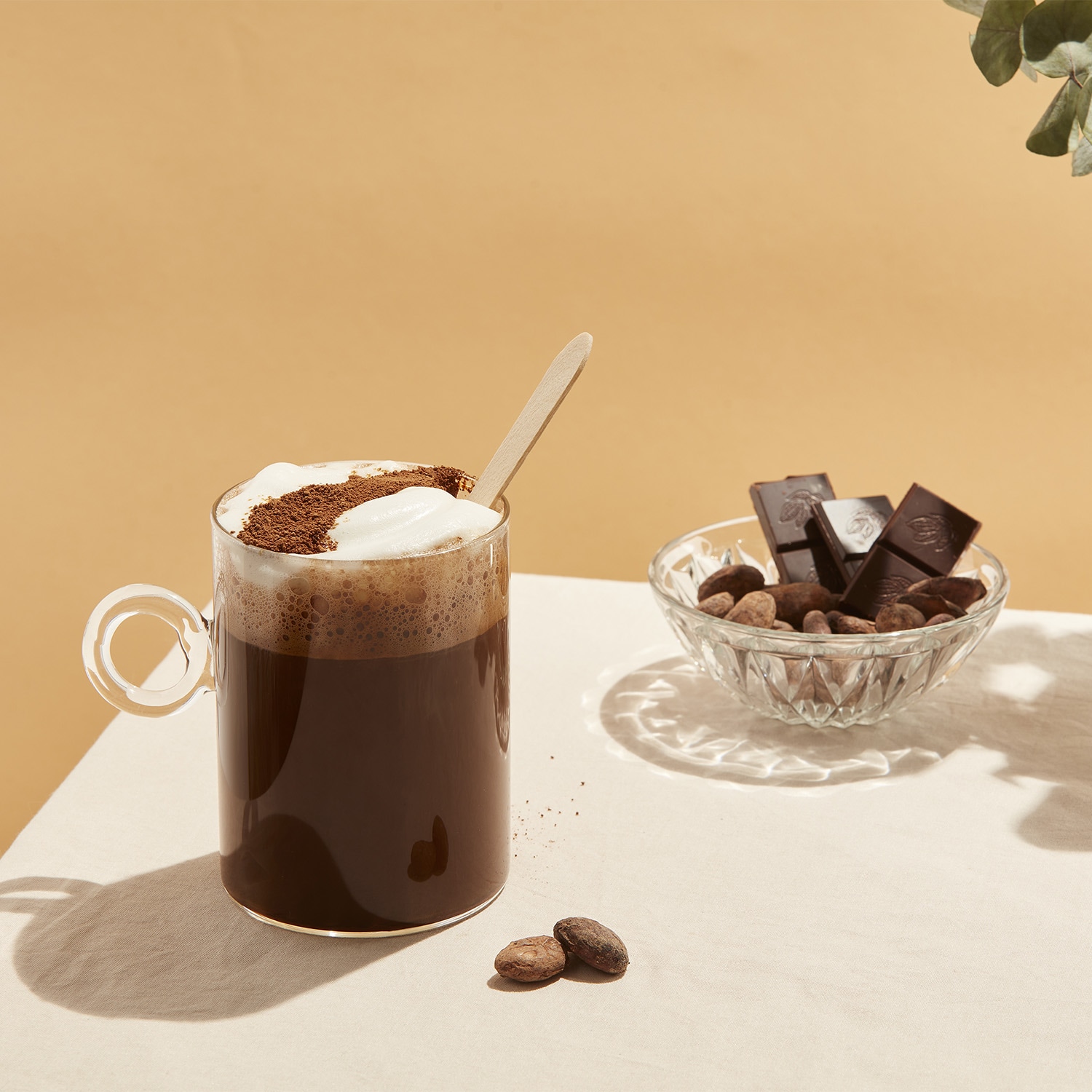 Chicorée "Escale Cacao" Nourée