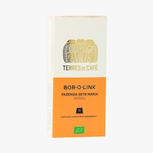 Café Brésil Bob-O-link bio Terres de Café