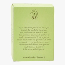 Belle plante Chic des Plantes !