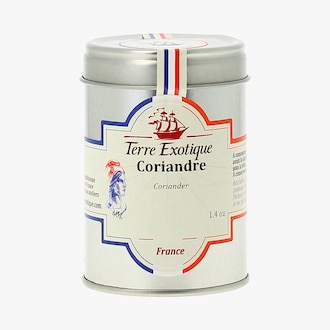 Coriandre Terre Exotique