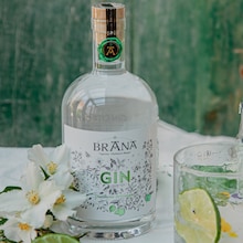 Gin citron vert Brana
