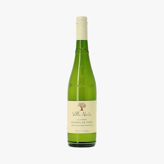 Domaine Villa Noria, La serre, AOP Picpoul de Pinet, 2025, biologique Domaine Villa Noria