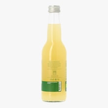 Ginger beer bio Mona