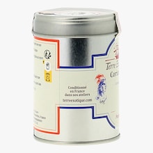 Coriandre Terre Exotique