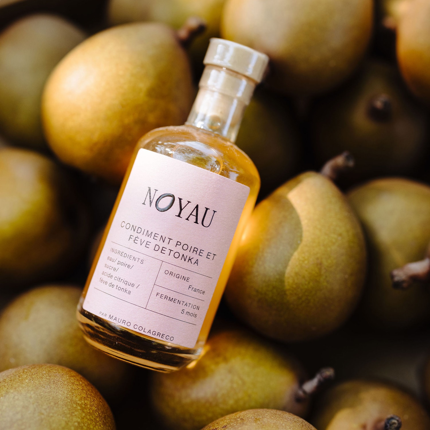 Condiment poire et fève de tonka Noyau