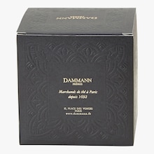 Th&eacute; vert parfum&eacute; Soleil Vert - Bo&icirc;te de 25 sachets Dammann Fr&egrave;res