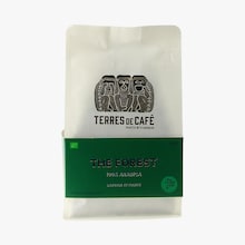 Café en grain The Forest 100% Arabica Terres de Café