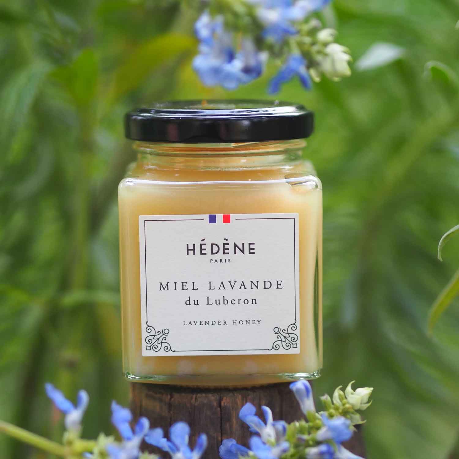 Miel de lavande du Lub&eacute;ron H&eacute;d&egrave;ne