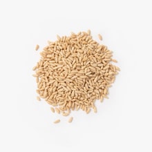 Pignons de pin  Maison Naja