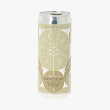 Kombucha fleur de sureau biologique Turbulente