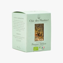 Pousse Délice Chic des Plantes !