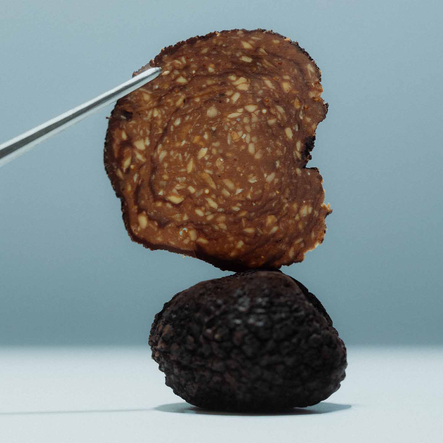 Truffe au chocolat noir et noisettes Tartufo Regale
