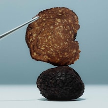Truffe au chocolat noir et noisettes Tartufo Regale